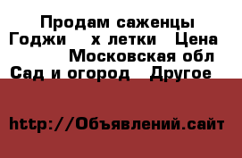 Продам саженцы Годжи 3- х летки › Цена ­ 1 000 - Московская обл. Сад и огород » Другое   